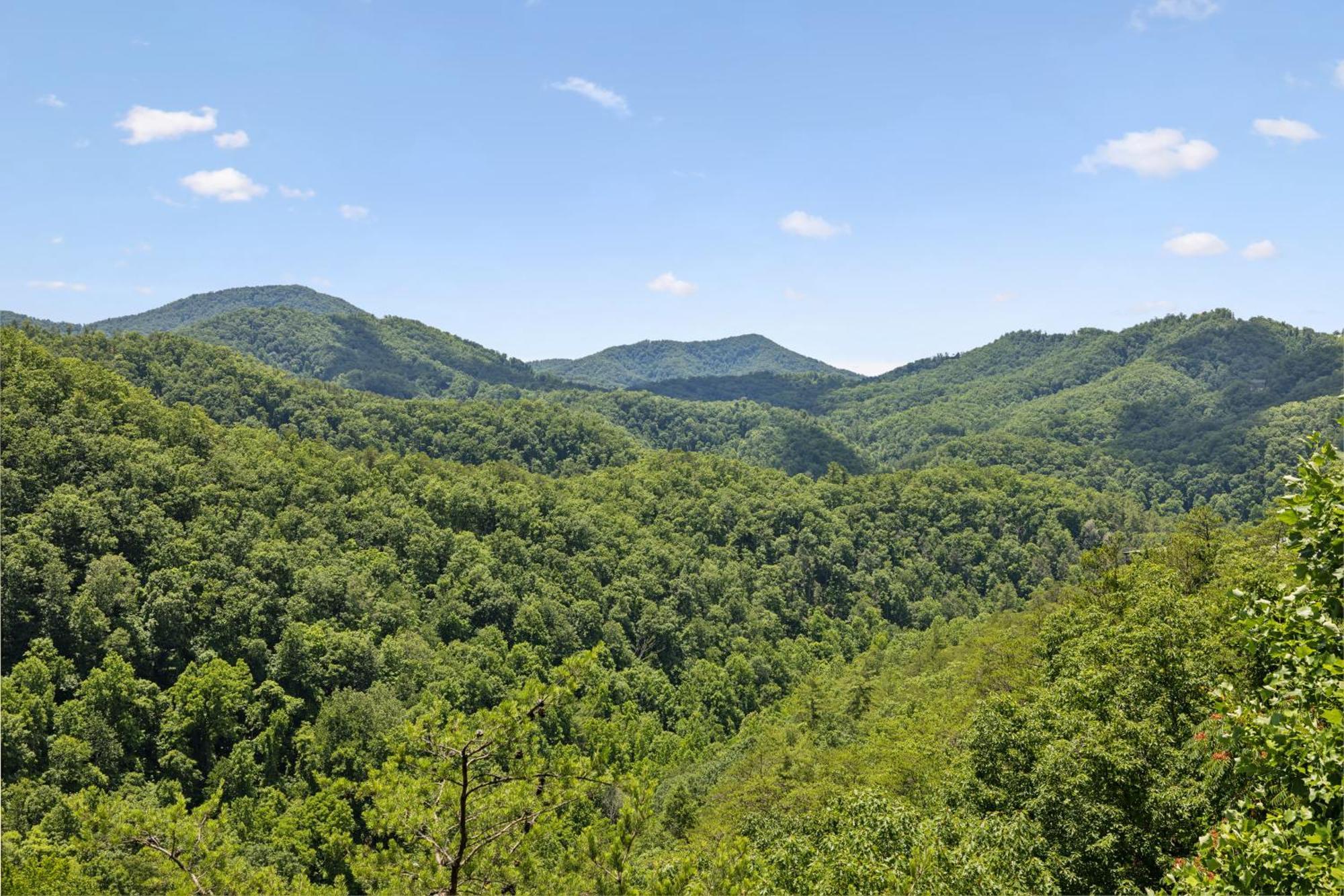 Amazing Views, Pool, Hot Tub, Game Room Sevierville Eksteriør billede