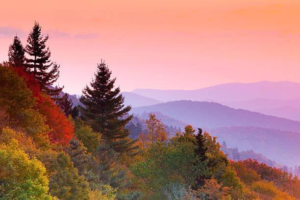 Amazing Views, Pool, Hot Tub, Game Room Sevierville Eksteriør billede